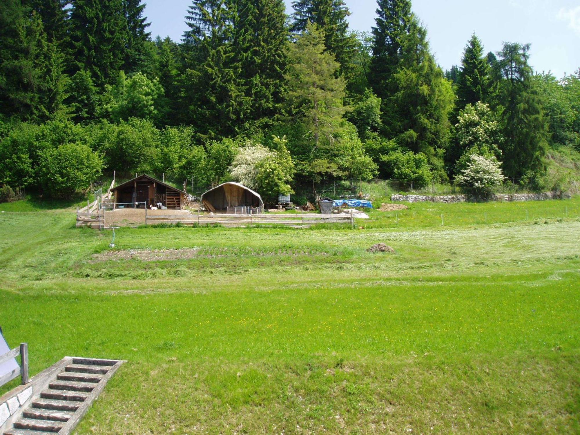 Giongo Residence - Appartamenti Lavarone Luaran gambar
